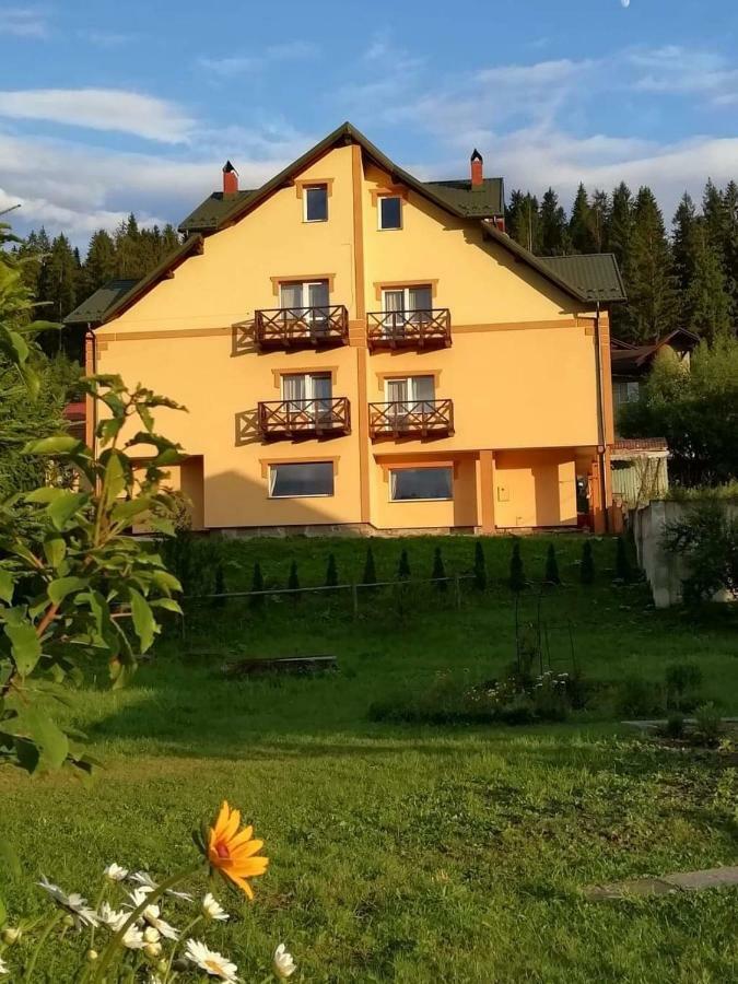 Гірська Палітра Szlavszke Kültér fotó